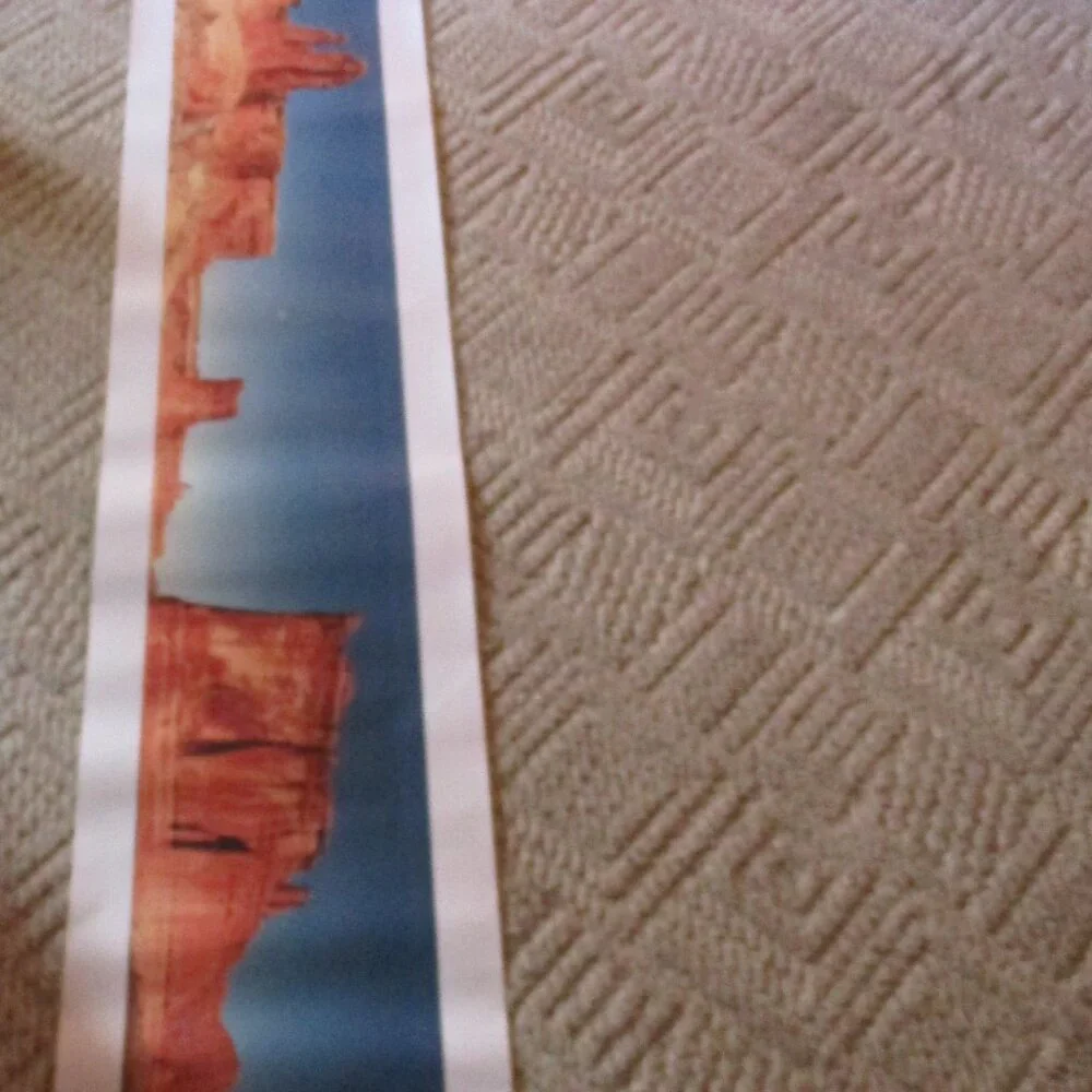 Panoramic Moab Utah Desert Photograph Peter Lorber 8.4 feet long x 12.5 inches